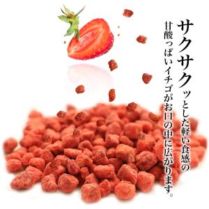 フリーズドライ いちご 45g イチゴ トッピ...の詳細画像3