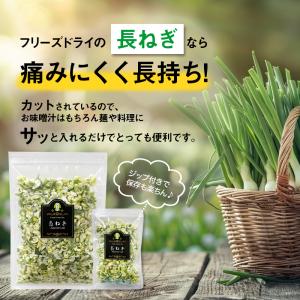 フリーズドライ 長ねぎ ネギ スープ みそ汁 ...の詳細画像1