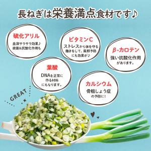 フリーズドライ 長ねぎ ネギ スープ みそ汁 ...の詳細画像2