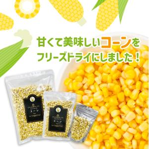 フリーズドライ コーン 85g とうもろこし ...の詳細画像1