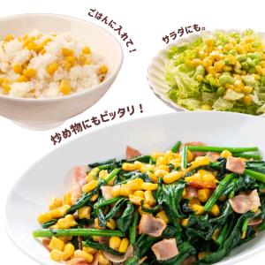フリーズドライ コーン 85g とうもろこし ...の詳細画像5