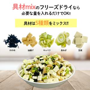 フリーズドライ 豆腐 油揚げ キャベツ わかめ...の詳細画像2