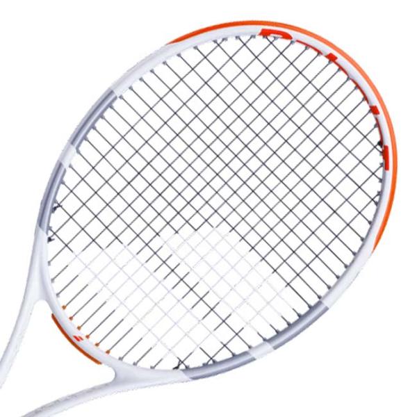 バボラ(Babolat) 2024 EVO STRIKE エボストライク (290g) 海外正規品 ...