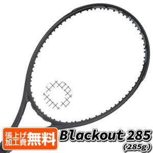ソリンコ(SOLINCO) 2025 Whiteout 305 V2 ホワイトアウト305 (305g