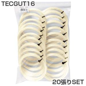 GOSEN（ゴーセン） 20張セット ノンパッケージ ウミシマ AKパワー16