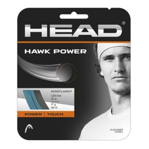 「単張パッケージ品」ヘッド(HEAD) HAWK POWER ホーク パワー 17(1.25mm) 硬式テニス ポリエステルガット 281022-17 PT(24y1m)｜amuse37