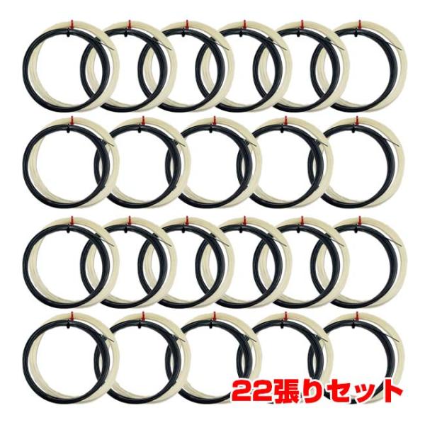 22張りSet お試し12Mカット品 トアルソン(TOALSON) コンボ・シリーズ パワー コンボ...