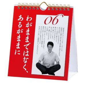 大ヒット商品♪ 日めくり まいにち、修造 心を...の詳細画像2