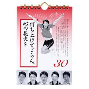 大ヒット商品♪ 日めくり まいにち、修造 心を...の詳細画像3