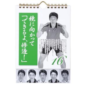 大ヒット商品♪ 日めくり まいにち、修造 心を...の詳細画像5