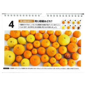 目で見て楽しめる 日めくり PHP研究所 見る...の詳細画像2