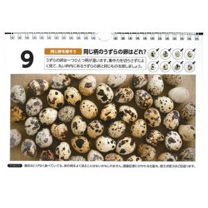 目で見て楽しめる 日めくり PHP研究所 見る...の詳細画像3