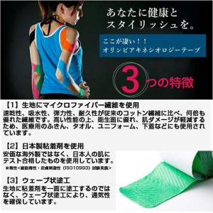 紙箱・プレカットタイプ HELIO(ヘリオ) ...の詳細画像4