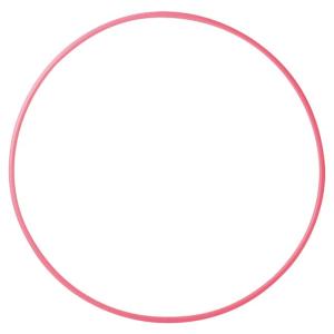内径65cm ササキ(SASAKI) 新体操 ...の詳細画像3