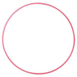 内径65cm ササキ(SASAKI) 新体操 ...の詳細画像3