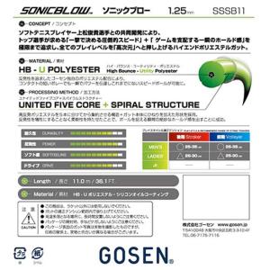 単張パッケージ品 ゴーセン(Gosen) SO...の詳細画像4