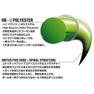 単張パッケージ品 ゴーセン(Gosen) SO...の詳細画像5