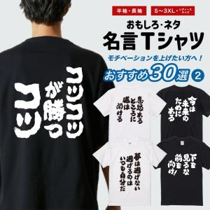 おもしろTシャツ よごれてもいい服 メンズ レディース ネタTシャツ