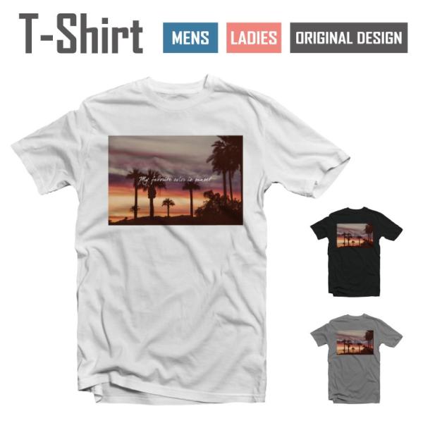 Tシャツ メンズ レディース 半袖 おしゃれ ブラック ホワイト グレー ロゴT フォトT 大きいサ...