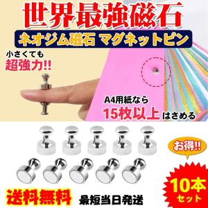 マグネット 磁石 ピン 強力 小さい ネオジム ネオジウム 10個セット｜amusing-square