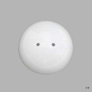100mm空カプセル 10個入り 白ホワイト ...の詳細画像2