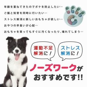 犬 おもちゃ ノーズワーク 犬のおもちゃ 犬お...の詳細画像4