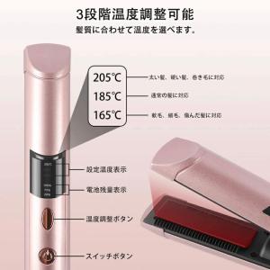 andis（アンディス） 可変式替刃 66250 ステンレス【メール便対応3個