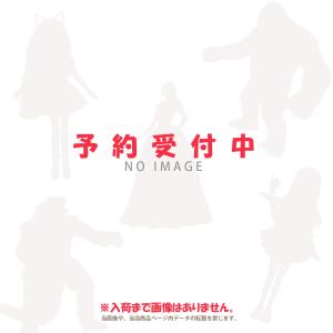 2月予約】 Fate/Grand Order ちびぐるみvol.3 全5種セット : F&S