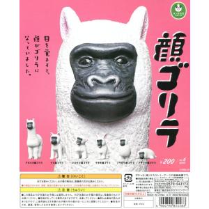 顔ゴリラ パンダの穴 全6種セット コンプ コンプリート