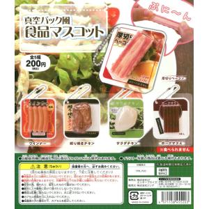 スクイーズ 真空パック風食品マスコット 全5種セット コンプ コンプリート｜amyu-mustore