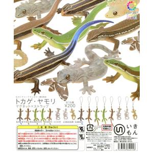 ネイチャーテクニカラーMONO トカゲヤモリ マグネット×ストラップ 全16