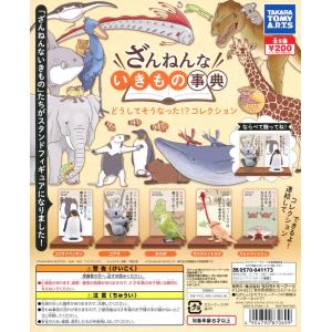 ざんねんないきもの事典 どうしてそうなった！？コレクション 全5種セット コンプ コンプリート｜amyu-mustore