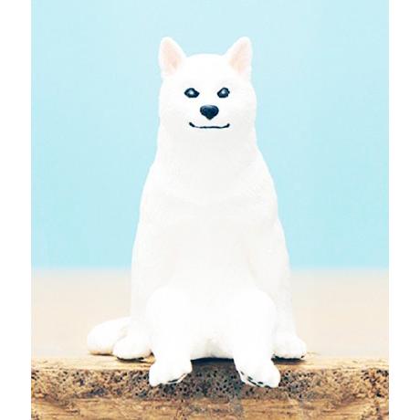座る犬 シロ