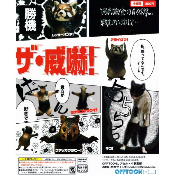 ザ・威嚇! 全5種セット コンプ コンプリート