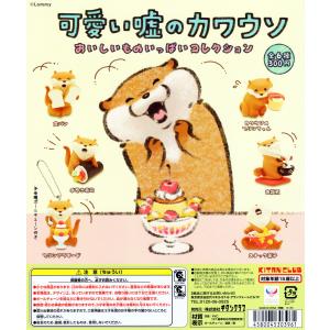 可愛い嘘のカワウソ おいしいものいっぱいコレクション