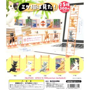 サモエドのふわふわポーチ 全4種セット コンプ コンプリートセット