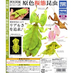 原色図鑑シリーズ 原色擬態昆虫 全4種セット コンプ コンプリートセット｜amyu-mustore