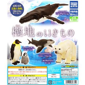 極地の生き物 全4種セット フィギュア コンプリートセット｜amyu-mustore