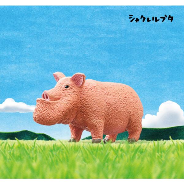 シャクレルプラネット5 シャクレルブタ