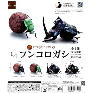 1/1 フンコロガシ 全4種セット ガチャガチャ コンプリートセット｜amyu-mustore