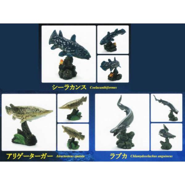 いきもの大図鑑ミニコレクション 古代魚 3種セット