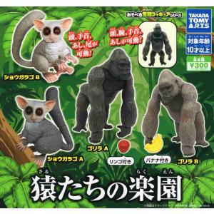 猿たちの楽園 全4種セット コンプ コンプリートセットの商品画像