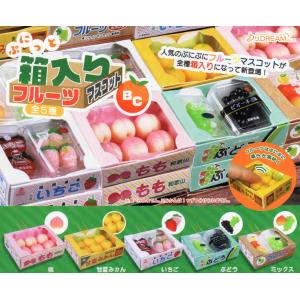 ぷにっと箱入りフルーツマスコットBC 全5種セット コンプ コンプリートセット