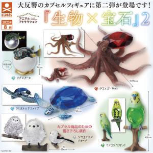 アニマルアトラクション 生物×宝石2 全5種セット コンプ コンプリートセット｜amyu-mustore