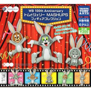 ワーナー・ブラザース 52TOYS BLINDBOX トムとジェリー 可哀想なトム