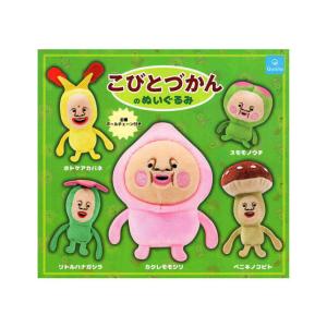 こびとづかんのぬいぐるみ 全5種セット コンプ コンプリートセット