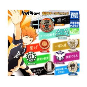 ハイキュー!! TO THE TOP 高校モチーフピンバッジ 全8種セット タカラ