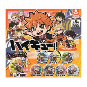 ハイキュー ラメグリッター 缶バッジ 全13種セット スタンドストーンズ