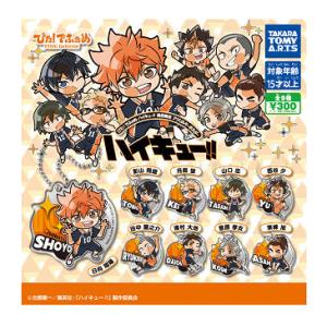 ぴた！でふぉめ ハイキュー！！ 烏野高校 アクリルキーホルダー 全9種セット コンプ コンプリートセ...