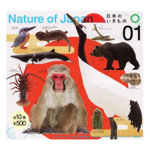 NATURE OF JAPAN 日本のいきもの1 全10種セット コンプ コンプリートセット